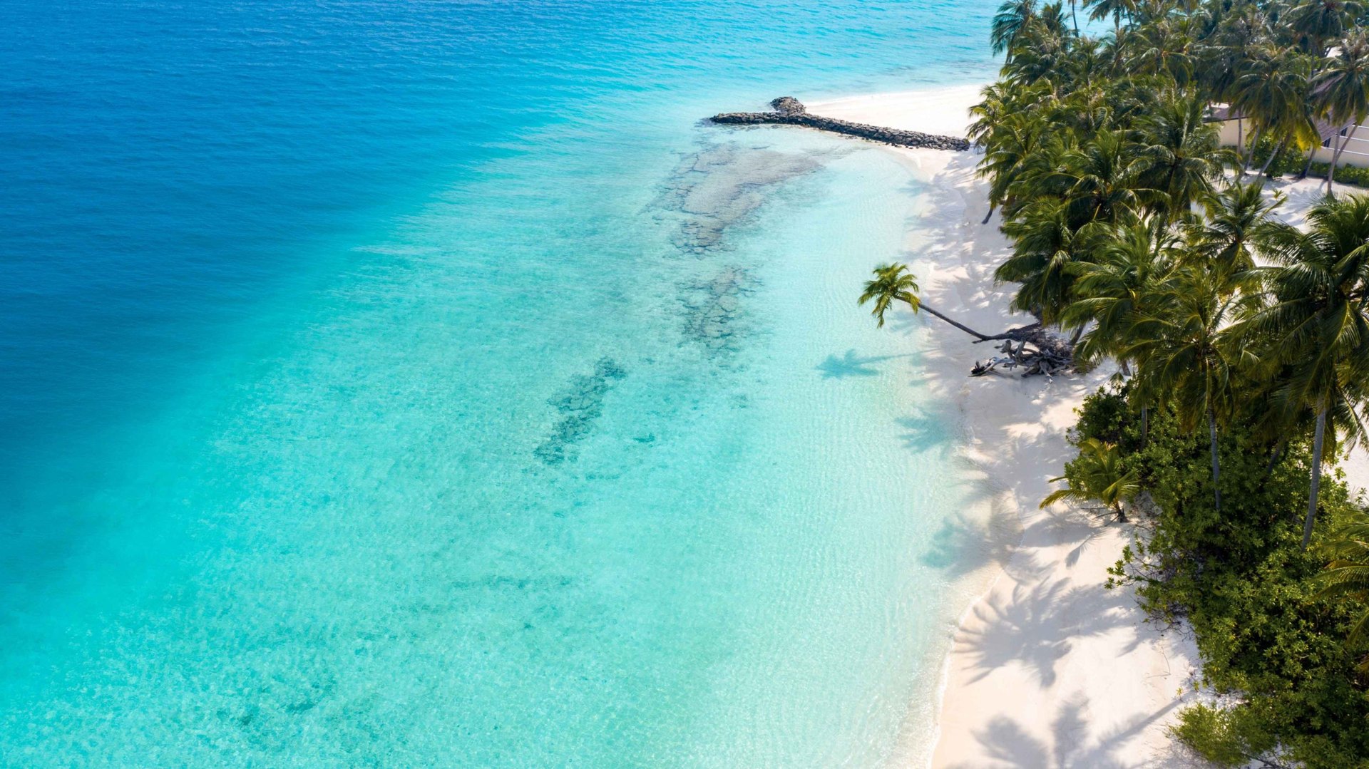 Turquoise lagoon and palm-fringed shores at Fiyavalhu Maldives